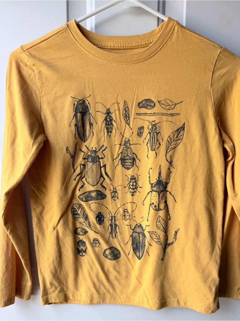 Cat & Jack Mustard Bug Graphic Long Sleeve Tee Boys Medium (8) Insect Nature - Picture 2 of 6